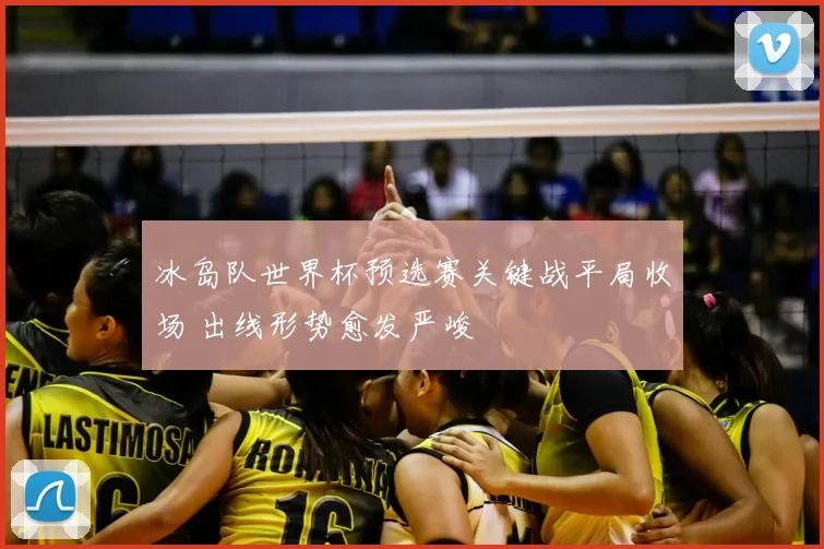 冰岛队世界杯预选赛关键战平局收场 出线形势愈发严峻