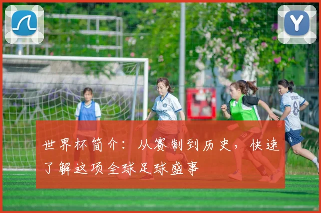 世界杯简介：从赛制到历史，快速了解这项全球足球盛事