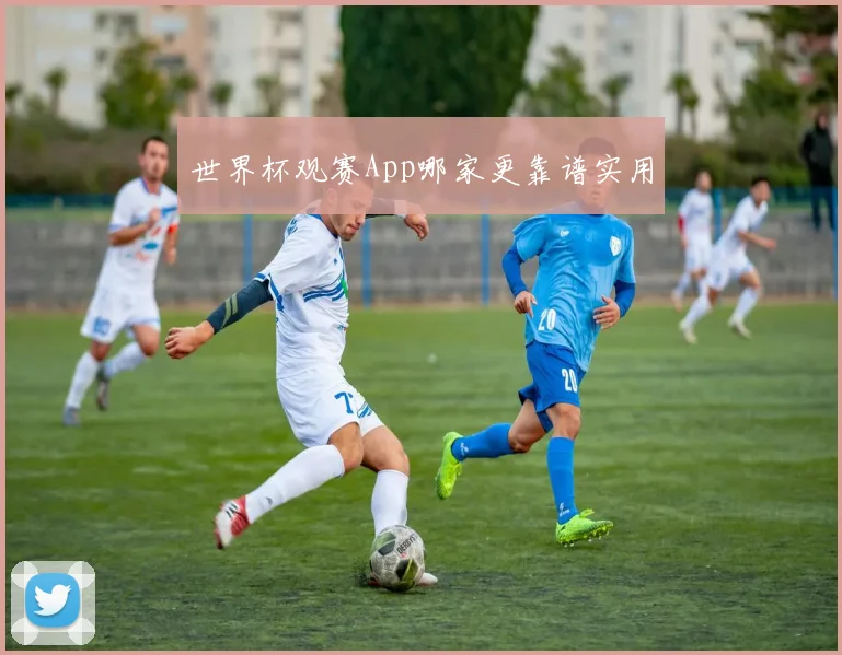 世界杯观赛App哪家更靠谱实用