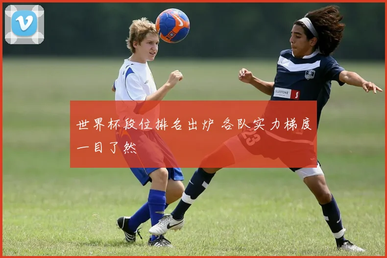世界杯段位排名出炉 各队实力梯度一目了然